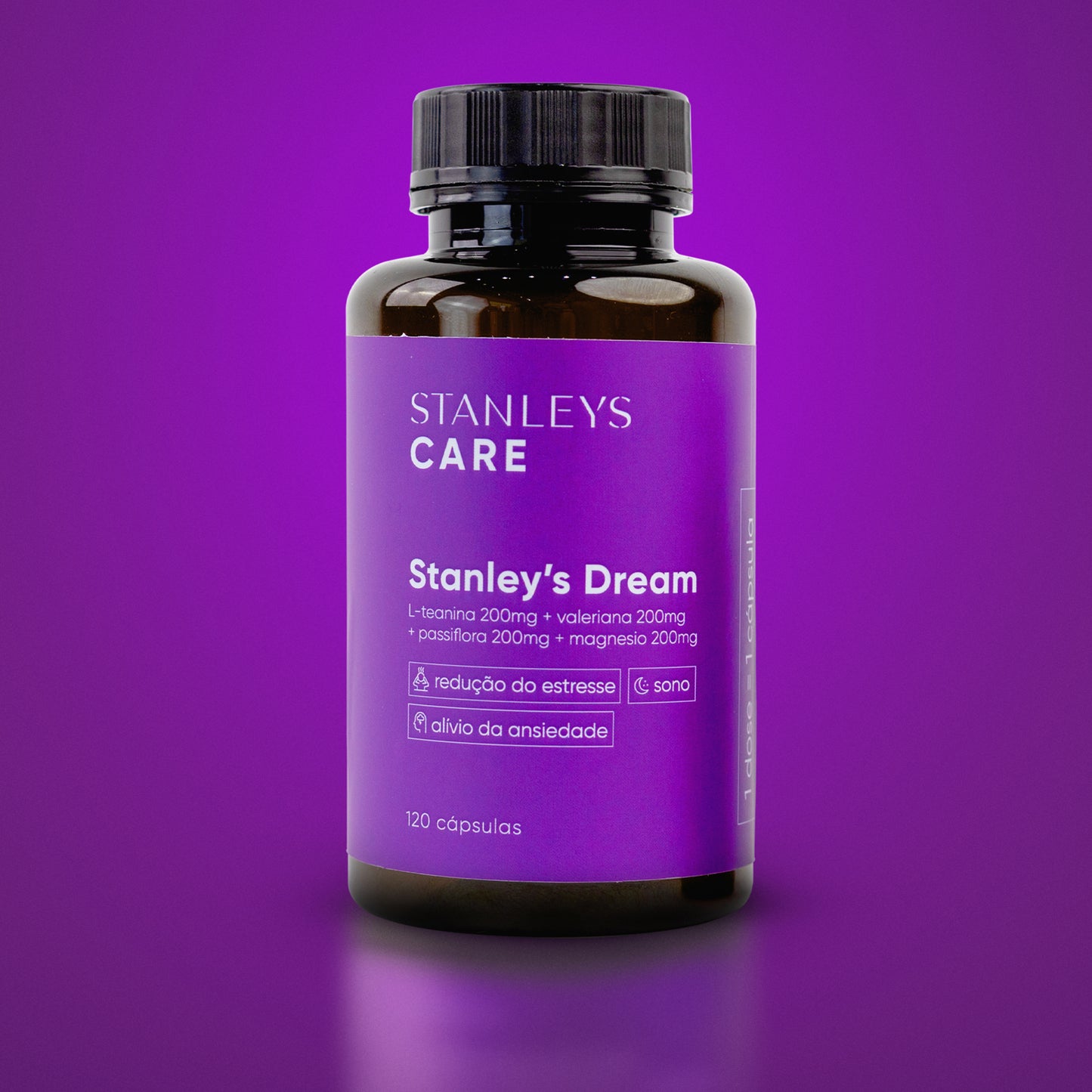 Stanley's Dream